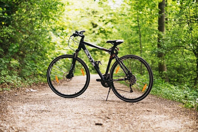 Best Budget Electric Bike Surebuyjunction